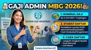 Gaji Admin MBG 2026: Intip Nominal, Syarat, dan Cara Daftar di Badan Gizi Nasional