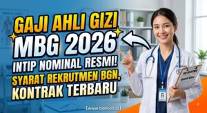 Gaji Ahli Gizi MBG 2026: Intip Nominal Resmi, Syarat Rekrutmen BGN, dan Kontrak Kerja Terbaru!
