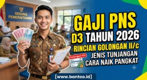Gaji PNS D3 Tahun 2026: Rincian Golongan II/c, Jenis Tunjangan, dan Cara Naik Pangkat